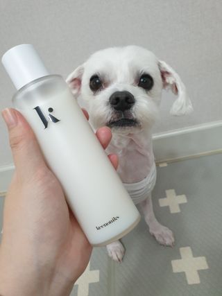 뽀야님이 올린 리뷰 사진 1