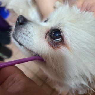 곰같은여우님이 올린 리뷰 사진 3