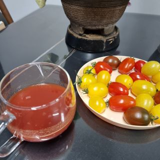 제이제이바이오 더단마토 프리미엄주스 100ml 30팩입 - 무설탕 스테비아 토마토즙 — 5점을 준 리뷰어가 2022년 1월 올린 사용 사진