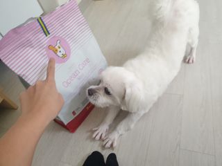 고롸고롸고롸님이 올린 리뷰 사진 1