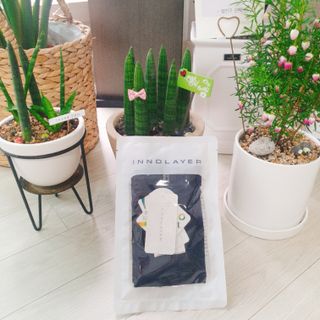 이노레이어 무봉제드로즈_일반형 — 5점을 준 리뷰어가 2021년 3월 올린 사용 사진