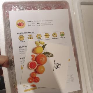 옳음 딸기 논산 설향 딸기 900g 산지직송 — 5점을 준 리뷰어가 2021년 1월 올린 사용 사진