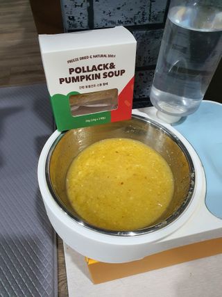 베이컨박스 [BACON] 강아지 수제간식 간편 동결건조 스튜 2종 - 황태, 초록 홍합 — 5점을 준 리뷰어가 2021년 1월 올린 사용 사진