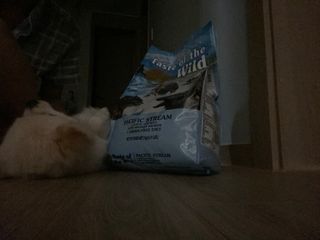 ㄹ발음님이 올린 리뷰 사진 2