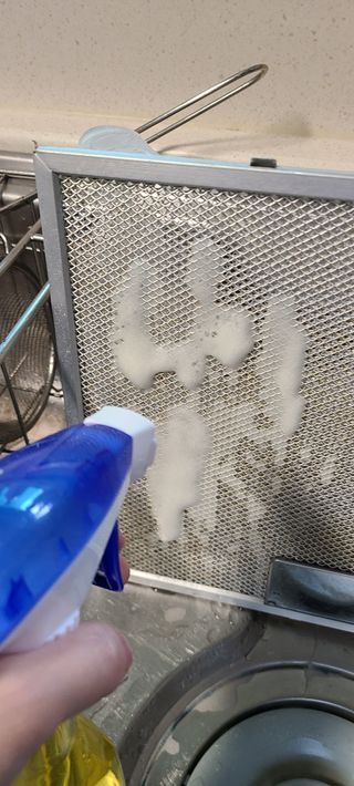 논지님이 올린 리뷰 사진 2