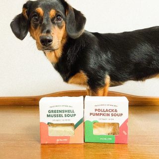베이컨박스 [BACON] 강아지 수제간식 간편 동결건조 스튜 2종 - 황태, 초록 홍합 — 5점을 준 리뷰어가 2021년 1월 올린 사용 사진