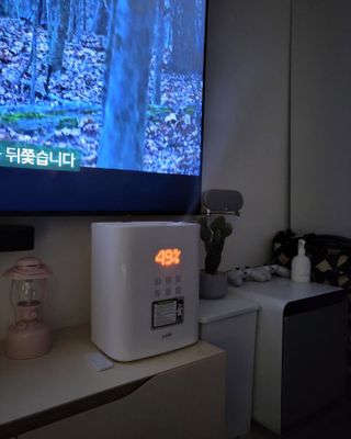 르미님이 올린 리뷰 사진 2