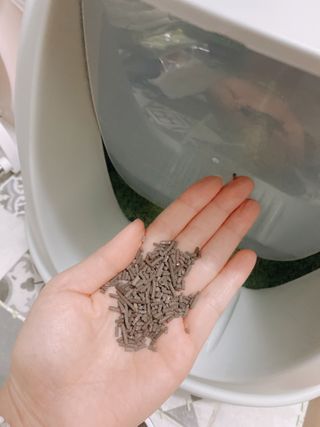 새벽님이 올린 리뷰 사진 4
