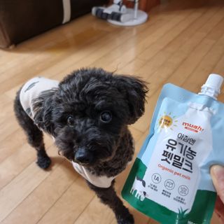 apple님이 올린 리뷰 사진 2