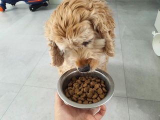 찬이애비님이 올린 리뷰 사진 3