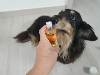 바이오오일 [바이오-오일] 스킨케어 오일 내추럴 60ml — 5점을 준 리뷰어가 2021년 11월 올린 사용 사진