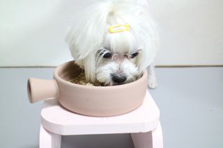 뽀블리님이 올린 리뷰 사진 3