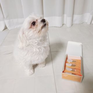 여니혀기님이 올린 리뷰 사진 1