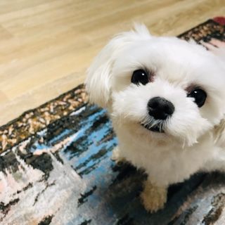 이아님이 올린 리뷰 사진 1