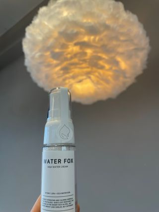 가치 WATERFOX(워터폭스)-엑토인시카.비옴 하이 워터크림 20ML — 5점을 준 리뷰어가 2023년 1월 올린 사용 사진