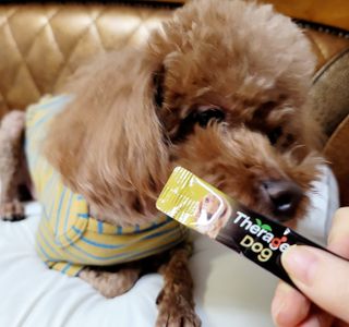 mejoom님이 올린 리뷰 사진 1