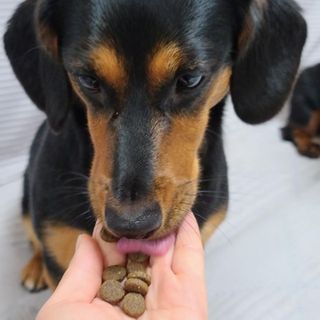 고응룡님이 올린 리뷰 사진 2