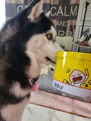 소은님이 올린 리뷰 사진 1