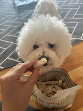 [펫시밀] 원물그대로 영양듬뿍 동결건조 왕북어트릿300g,왕치킨트릿400g,열빙어트릿300g 대용량 간식 — 5점을 준 리뷰어가 2023년 5월 올린 사용 사진