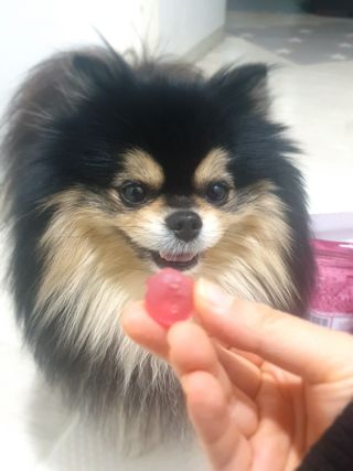 [팔도] 잔망루피젤리 믹스베리맛 42g 8개 — 4점을 준 리뷰어가 2022년 1월 올린 사용 사진