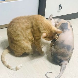 이아님이 올린 리뷰 사진 4