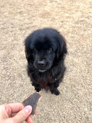 랑랑이1님이 올린 리뷰 사진 2