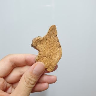 두두님이 올린 리뷰 사진 3