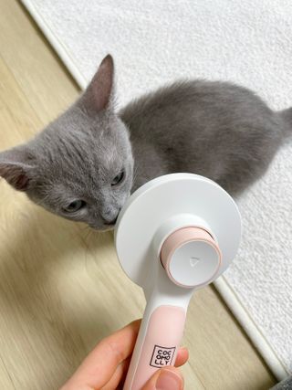 햄미이모님이 올린 리뷰 사진 2