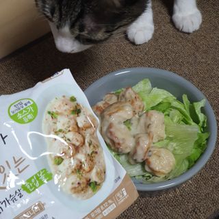 굽네몰 [굽네] 소스가 맛있는 닭가슴살 한입 볼 2종 8팩 — 5점을 준 리뷰어가 2021년 3월 올린 사용 사진