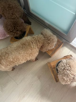숙블리님이 올린 리뷰 사진 3