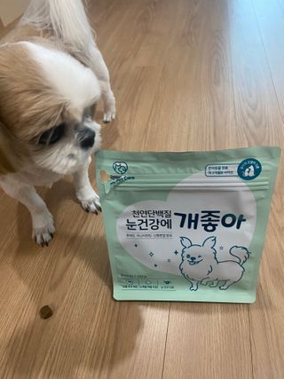 My Pet Care 천연단백질 눈건강에 개좋아 — 5점을 준 리뷰어가 2021년 3월 올린 사용 사진