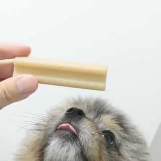 오코리타님이 올린 리뷰 사진 4