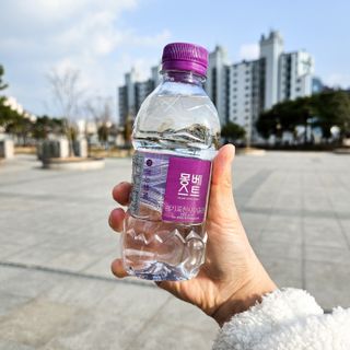 몽베스트 [MONTBEST] 330mL 20병 — 5점을 준 리뷰어가 2024년 3월 올린 사용 사진
