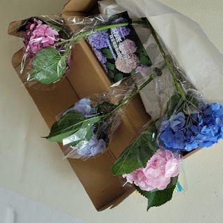 페버님이 올린 리뷰 사진 3