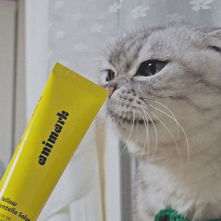유햐님이 올린 리뷰 사진 1