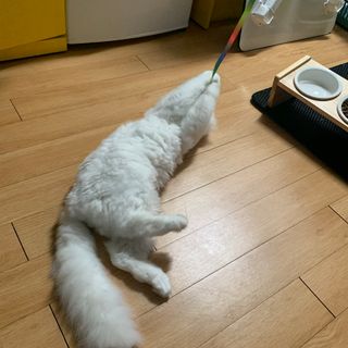 슈님이 올린 리뷰 사진 4