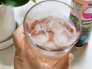 더그레잇티 콤부차 [매일유업] 더그레잇티 44kcal 콤부차 300ml *12개입 (오리지널 6개+베리리치 6개) — 5점을 준 리뷰어가 2023년 7월 올린 사용 사진