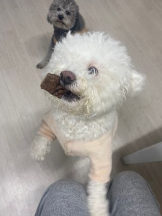 갱스님이 올린 리뷰 사진 3