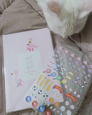 대박이님이 올린 리뷰 사진 2