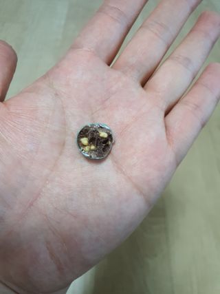 뽀오오옹님이 올린 리뷰 사진 3