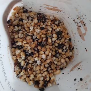 발랄써냐님이 올린 리뷰 사진 4