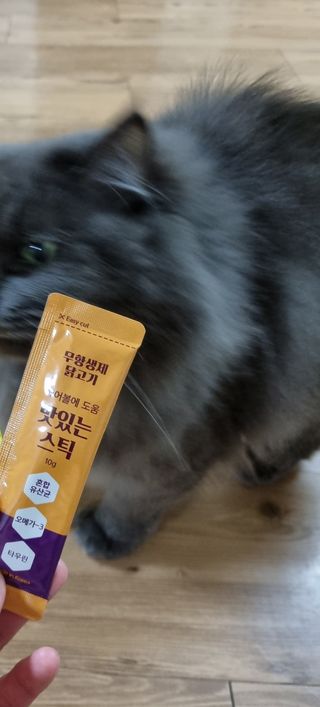 페페로니 맛있는 스틱 - 무항생제 닭고기 15개 + 알래스카 연어 15개 — 5점을 준 리뷰어가 2021년 9월 올린 사용 사진