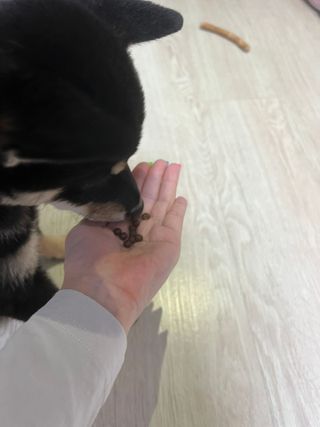 김찡끗님이 올린 리뷰 사진 3