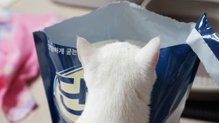도르방구님이 올린 리뷰 사진 2