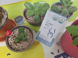 프리마인 평생 써야하는 관절의 건강을 위한 완벽설계 솔루션 관절n마디케어 플러스 120정 — 5점을 준 리뷰어가 2022년 10월 올린 사용 사진