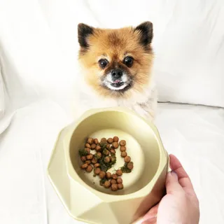 꿀냥이님이 올린 리뷰 사진 1