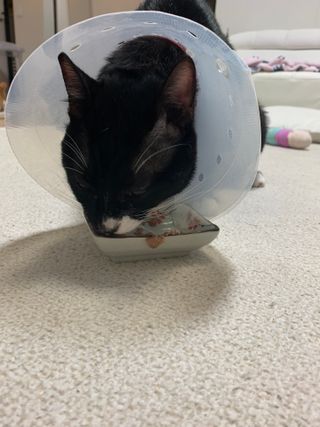 오둥이맘님이 올린 리뷰 사진 2