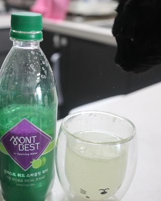 몽베스트 Montbest with Sparkling water Lime20병 — 5점을 준 리뷰어가 2022년 9월 올린 사용 사진
