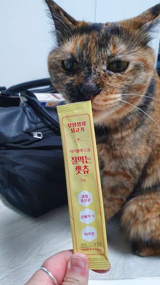 페페로니 잘 먹는 캣츄 - 무항생제 닭고기 24개입 — 5점을 준 리뷰어가 2021년 7월 올린 사용 사진