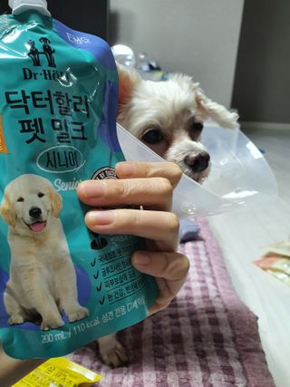 쮸동비님이 올린 리뷰 사진 2